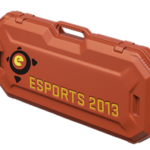 eSports 2013 Case
