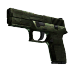 StatTrak™ P250 | Iron Clad (Field-Tested)