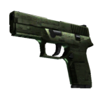 P250 | Iron Clad (Minimal Wear)