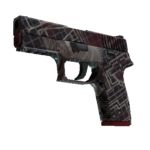 P250 | Facility Draft (Minimal Wear)