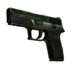 P250 | Verdigris (Battle-Scarred)