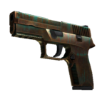 P250 | Verdigris (Well-Worn)