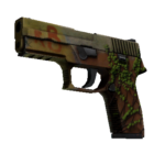 P250 | Inferno (Battle-Scarred)