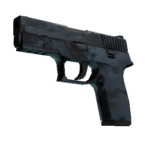 P250 | Forest Night (Field-Tested)