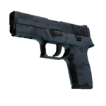 P250 | Forest Night (Minimal Wear)