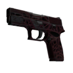 StatTrak™ P250 | Contaminant (Field-Tested)
