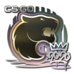 Sticker | FURIA | 2020 RMR