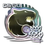 Sticker | FURIA (Foil) | 2020 RMR