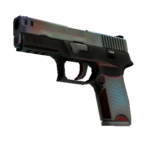 P250 | Cyber Shell (Field-Tested)