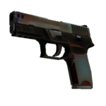 P250 | Cyber Shell (Battle-Scarred)