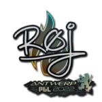 Sticker | roeJ | Antwerp 2022