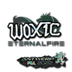 Sticker | woxic (Glitter) | Antwerp 2022