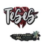Sticker | TeSeS | Antwerp 2022