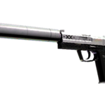 StatTrak™ USP-S | Printstream (Battle-Scarred)