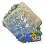 Sticker | iM | Rio 2022