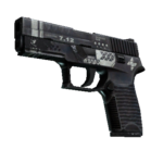P250 | Re.built (Battle-Scarred)