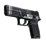 P250 | Re.built (Well-Worn)