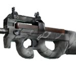 P90 | Ash Wood (Minimal Wear)