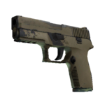 P250 | Sand Dune (Well-Worn)