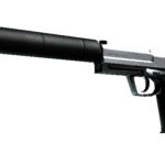 StatTrak™ USP-S | Stainless (Field-Tested)