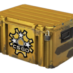 Revolver Case