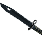 ★ Bayonet | Night (Field-Tested)