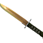 ★ Bayonet | Lore (Field-Tested)