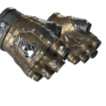 ★ Bloodhound Gloves | Bronzed (Well-Worn)