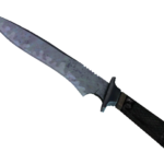 ★ Classic Knife | Blue Steel (Minimal Wear)