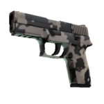 P250 | Black & Tan (Factory New)