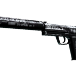 StatTrak™ USP-S | Ticket to Hell (Well-Worn)