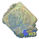 Sticker | iM (Holo) | Rio 2022