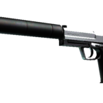 StatTrak™ USP-S | Stainless (Factory New)